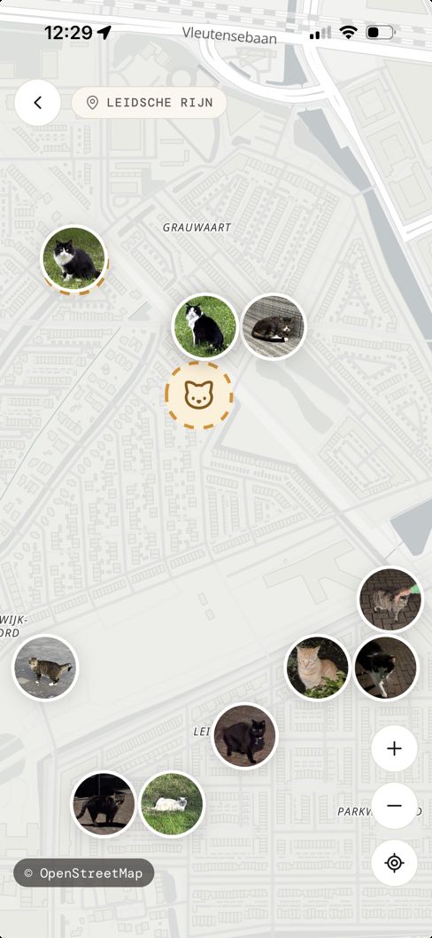 The map of your neighbourhood in the Blepper app